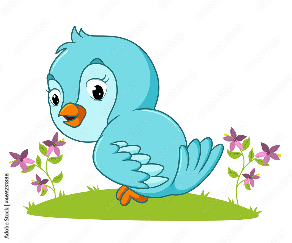 The happy bird is perching on the grass The happy bird is perching on the grass