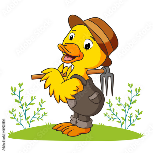 The duck farmer is holding the rake