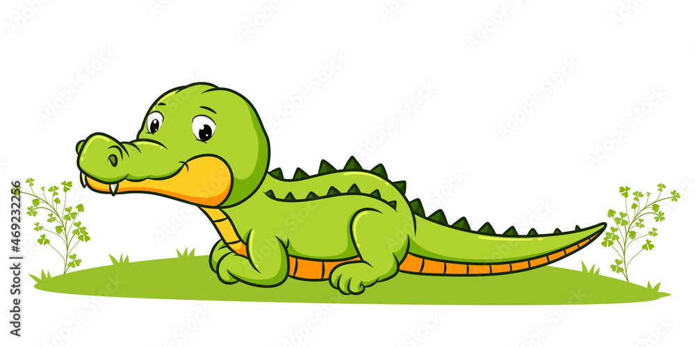 Naklejka premium The cute crocodile is laying down in the garden