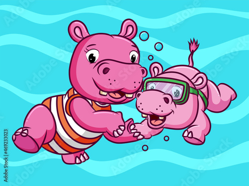 The couple hippopotamus are swimming together under the water