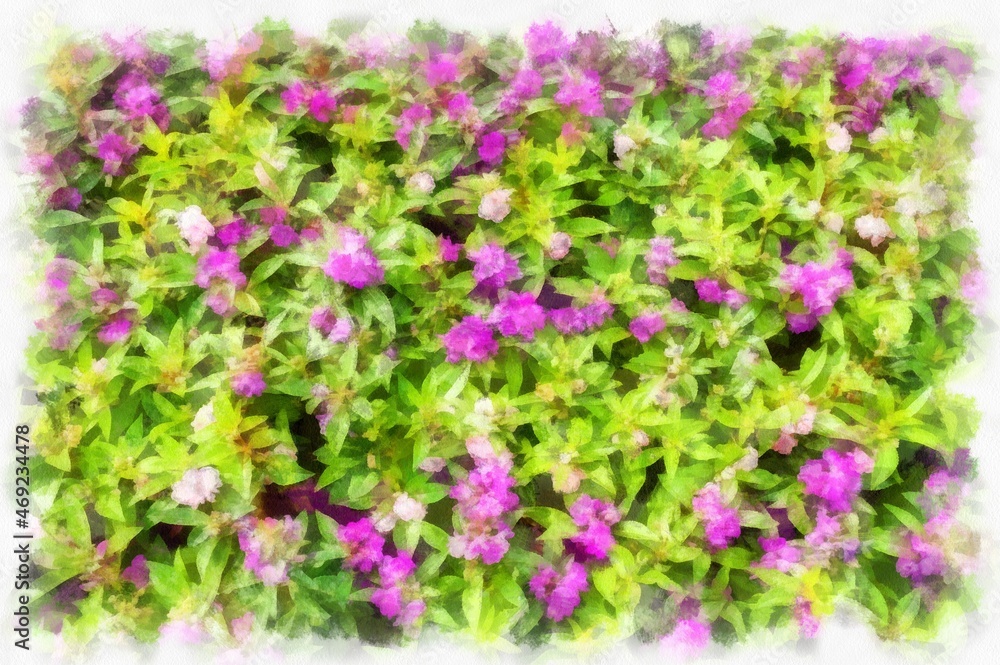 The flower bush has small pink flowers watercolor style illustration impressionist painting.