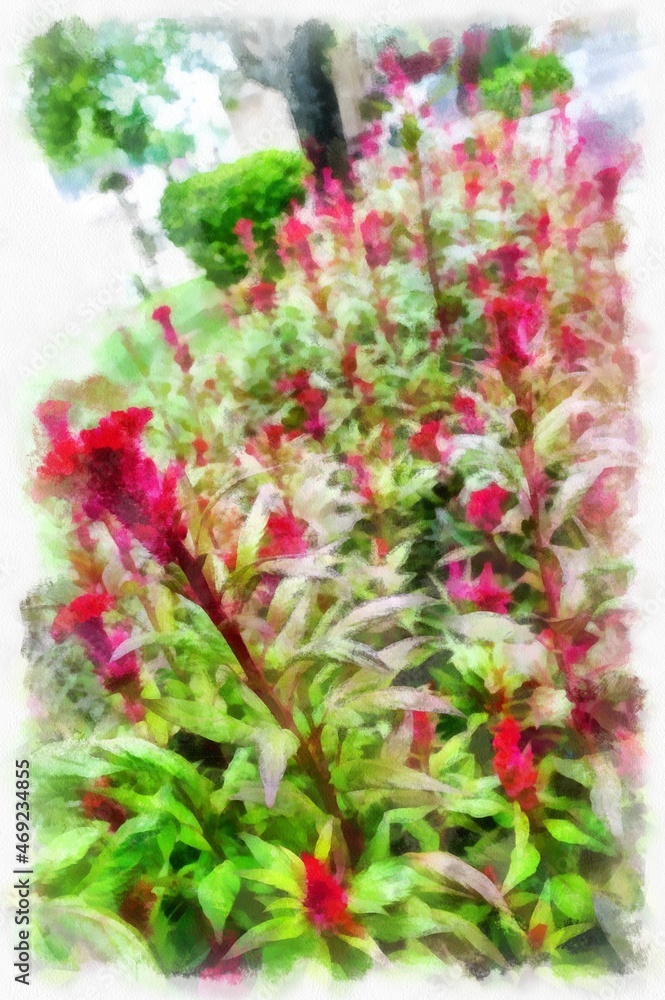 Fototapeta premium tree with red tops watercolor style illustration impressionist painting.