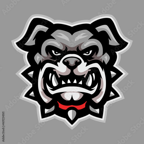 Cartoon bulldog head on white background