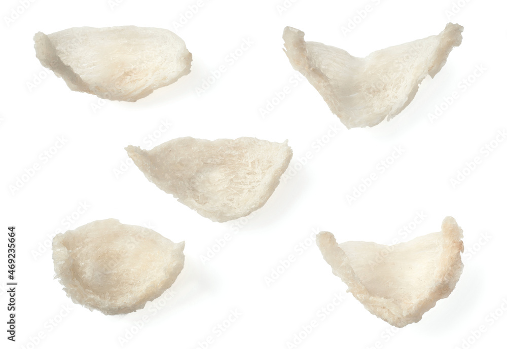 Edible bird's nests isolated on white background, top view Edible bird's nests isolated on white background, top view