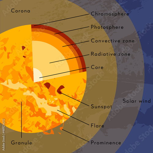 Sun internal structure. Solar model, star diagram. Core, radiative, convective zone, atmosphere, corona. Magnetic activity: sunspot, flare, prominence. Astronomy. Vector flat cartoon illustration