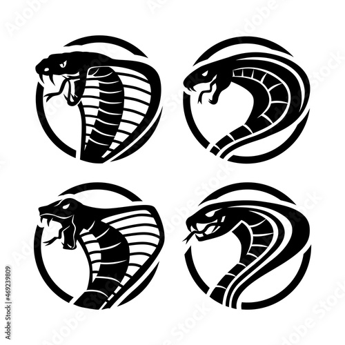 Cobra Silhouette Set Vector Logo Design photo