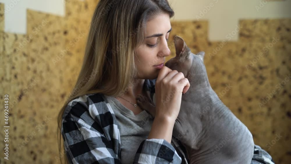 Close-up of a blonde girl with a gray sphinx cat in her arms, care and love of an adult animal, pet. Close-up of a blonde girl with a gray sphinx cat in her arms, care and love of an adult animal, pet.
