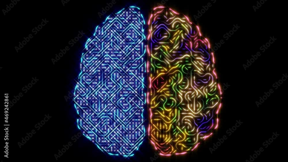 Left and right brain concept