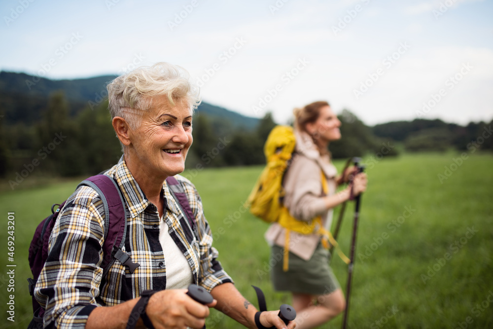 Fototapeta premium Happy mid adult woman with trekking poles hiking with active senior mother outdoors in nature.