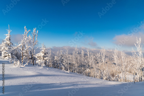Freezing winter day on Polomka hill summit with snow, trees and Lysa hora with Travny hill on tjhe background in Moravskoslezske Beskydy mountains © honza28683