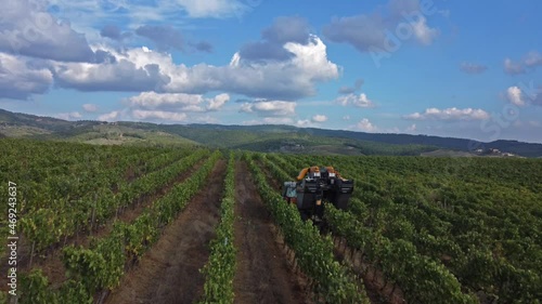 Panoramic view of vineyards in Tuscany, Italy