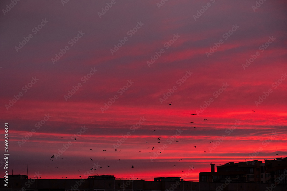 Obraz premium city sunrise close up red sky