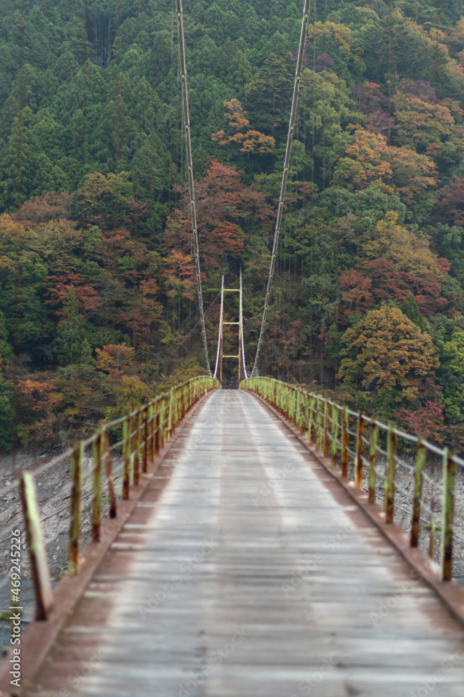 秋の井川大橋
