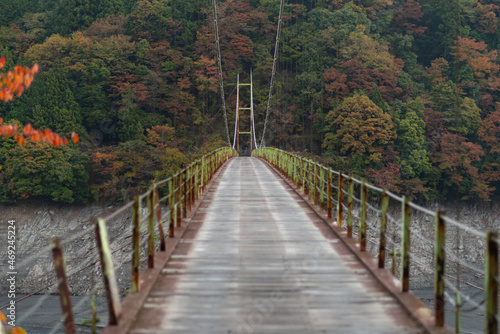 秋の井川大橋