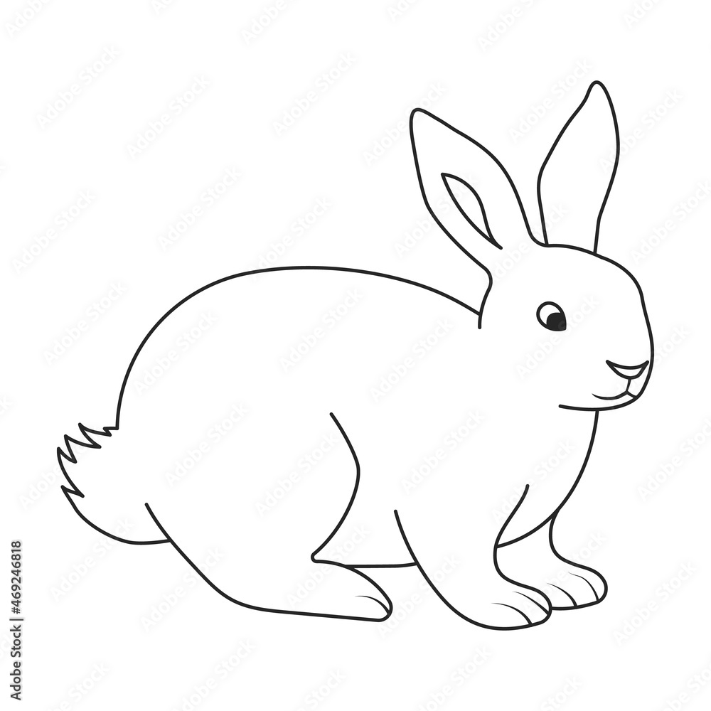 Rabbit vector icon.Outline vector icon isolated on white background rabbit. Rabbit vector icon.Outline vector icon isolated on white background rabbit.