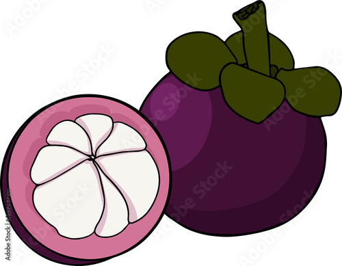 Set Mangosteen Fruit on a white background. Whole, sliced and halved Mangosteen graphics. Vector illustration.