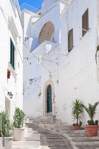 Fototapeta Naklejka Na Ścianę i Meble -  potted flowers on a whitewashed staircase in a mediterranean town