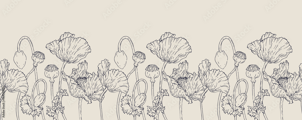 Vector horizontal hand darwn poppy flower. Seamless border. Eps 10. Line-art botanical illustration. Floral backdrop - obrazy, fototapety, plakaty 