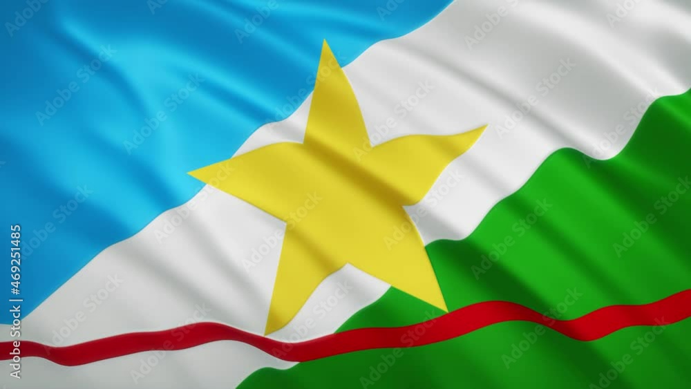 Roraima - Waving Flag Video Background - Brazil State Roraima - Waving Flag Video Background - Brazil State