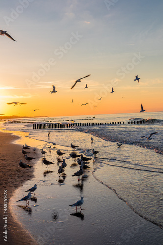 Fototapeta Naklejka Na Ścianę i Meble -  Abendlicher Strandspaziergang an der Strandpromenade von Mielno - Polen