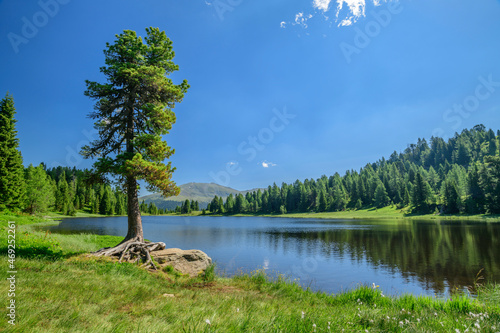 Trees under sky by lake at Carinthia, Austria photo