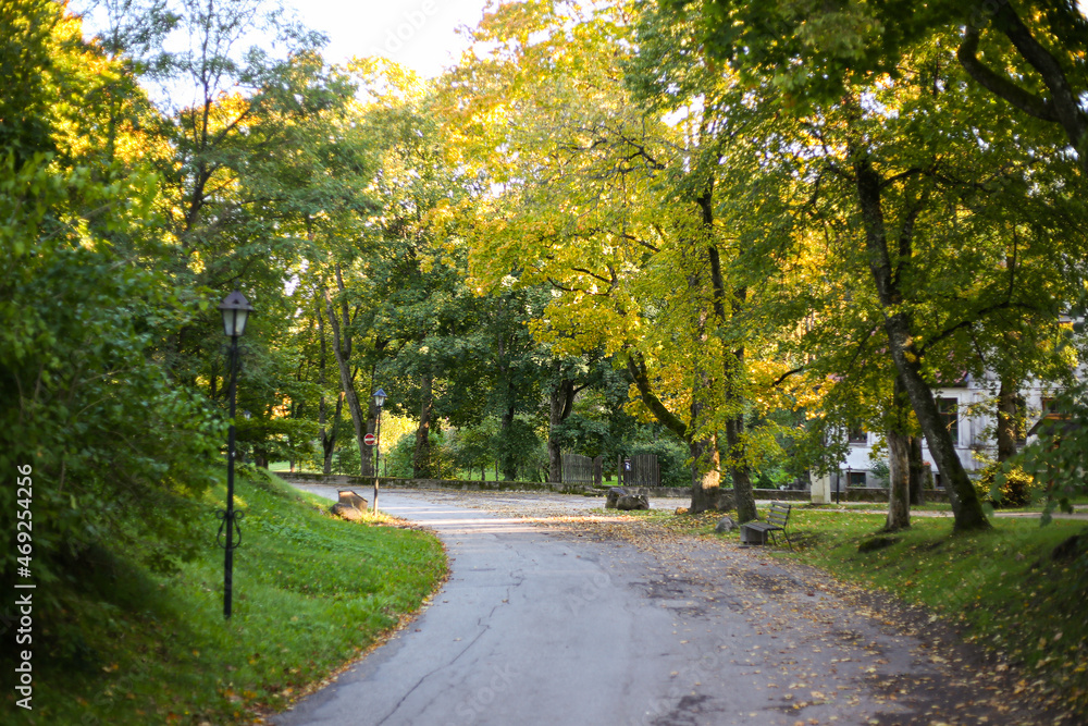 Park road in autumn.