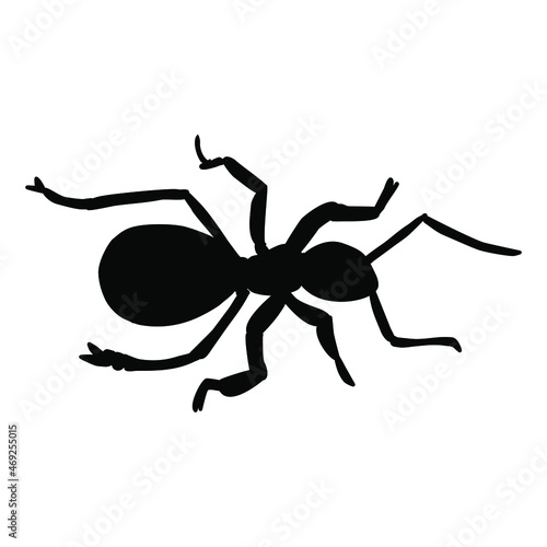 Black ant close up, silhoette. Vector