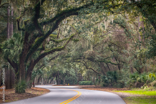 Tableau sur toile Sea Pine Forest in Hilton Head Island, South Carolina