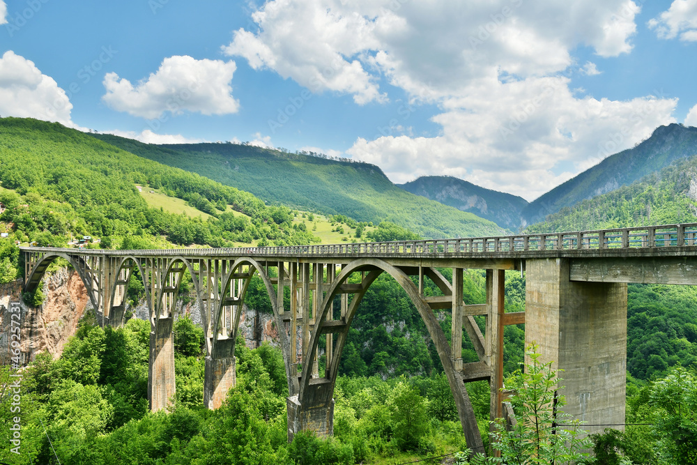 Bridge Durdevica over the green fjord in Montenegro. Panoramic nature backgrounds and landscapes