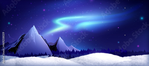 Northern Lights Landscape Composition