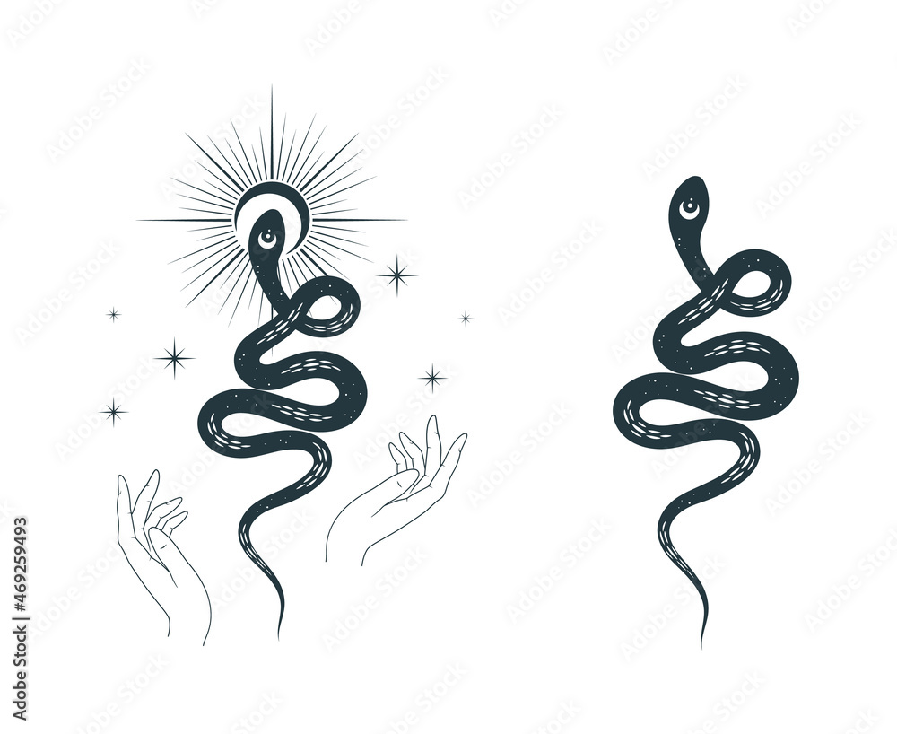 Obraz premium Hand drawn set with snake and wriggling serpent with stars and the sun. Celestial witchcraft prints for design of t-shirts, fabrics, tattoo, cards 