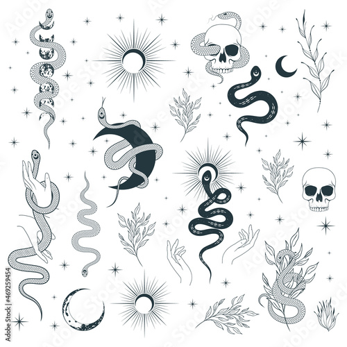 Hand drawn сelestial snakes and flowers collection. Mystical witchy vector isolated set for tattoo,  t-shirt design, fabric.