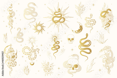 Floral and Celestial golden snakes collection. Gold vector isolated set of mystical witchy elements for tattoo,  t-shirt design, fabric.