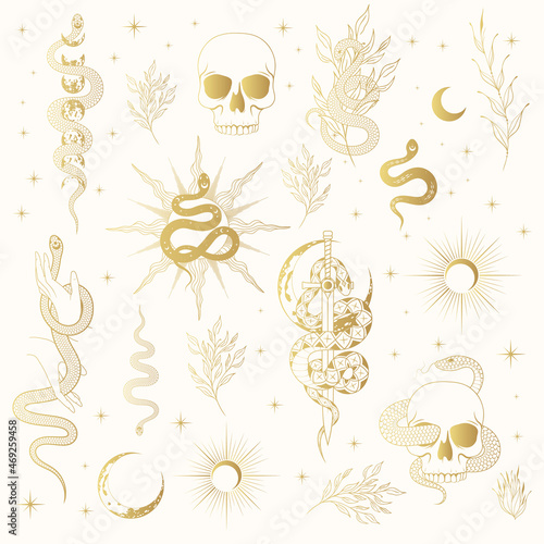 Hand drawn gold celestial and floral snakes collection. Golden mystical vector isolated set for  t-shirt design, fabric, covers and cards.