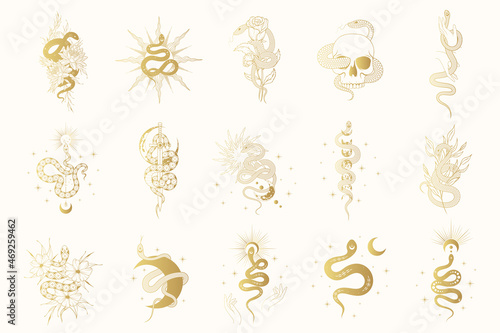 Hand drawn isolated set with gold celestial and floral snakes for witchcraft. Golden vector mystical and spiritual collection for t-shirt design, fabric, covers and cards.