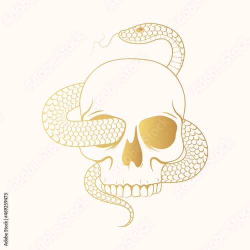 Hand drawn illustration with a gold snake wrapped around a skull. Golden mystical witchy vector for t-shirt design, textile, bags, cards and covers