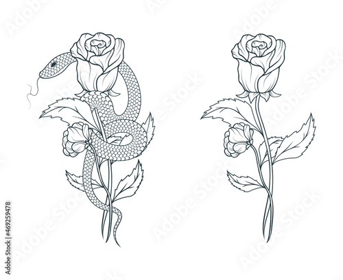 Hand drawn snake wrapped around a rose. Floral vector illustration in vintage style  for covers,  t-shirt design, fabrics, notebooks and cards.