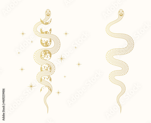 Gold celestial set with stars and snake wrapping around the moon. Golden mystical print for witchcraft. Spiritual vector illustration for covers,  t-shirt design, fabrics, notebooks and cards.