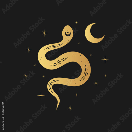 Golden celestial snake in the night sky with the moon and stars. Mystical vector illustration for design of t-shirts, fabrics, cards and posters.