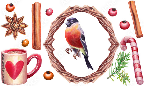 Christmas watercolor illustration set of bullfinch, coffee, cinnamon, lollipop and christmas green fir tree branch pine