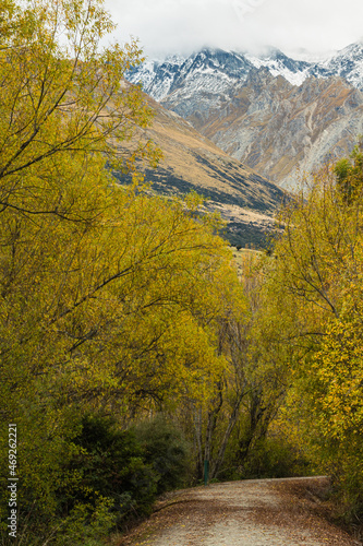 ニュージーランド オタゴ地方のグレノーキーのラグーン・トラック沿いの紅葉の並木道