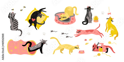 Cats Characters Icon Set