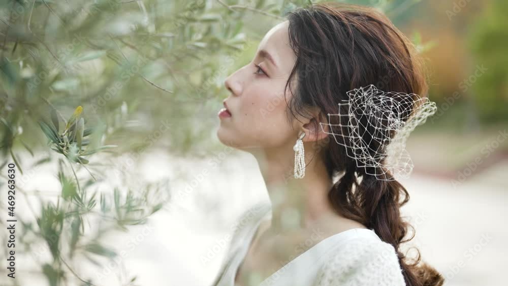 ウェディングドレスを着た花嫁 ウェディングドレスを着た花嫁