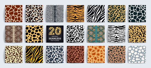 Gardinen Tiermuster Wild safari animal seamless pattern collection. Vector leopard, cheetah, tiger, giraffe, zebra, snake skin texture set for fashion print design, fabric, textile, wrapping paper, background, wallpaper  © Ketmut