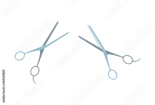 Pair Of Scissors Composition