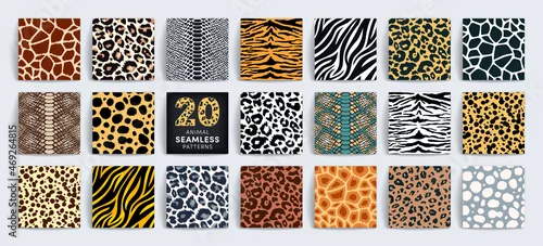 Obraz Wild safari animal seamless pattern collection. Vector leopard, cheetah, tiger, giraffe, zebra, snake skin texture set for fashion print design, fabric, textile, wrapping paper, background, wallpaper