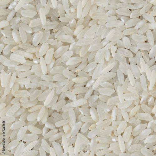 white rice background, seamless pattern