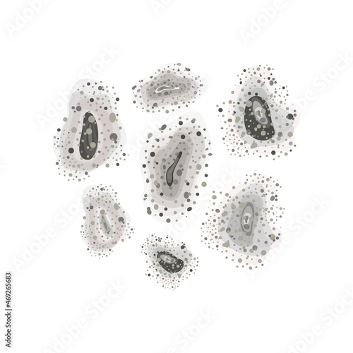 black mold. Black mold outbreak. Set with toxic spores, fungi, stains. Mucormycosis disease. Vector illustration, flat