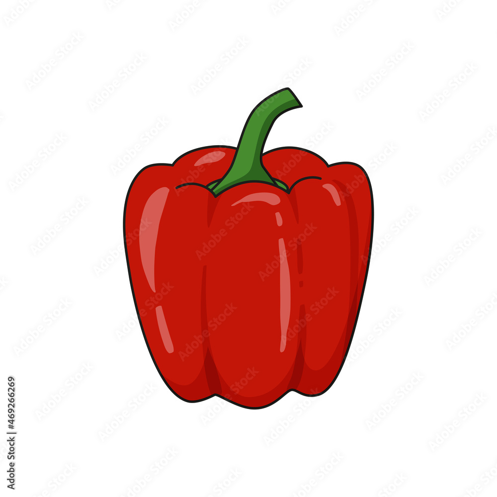 Paprika vector illustration drawn in cartoon style and isolated on white background Paprika vector illustration drawn in cartoon style and isolated on white background