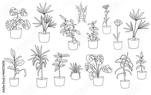  Indoors  plant sketch,  pen line. Collection silhouette beautiful ornamental plants in pots  for garden and home,  ficus, aloe, Yucca, monstera, black color isolated on white. Vector illustration 